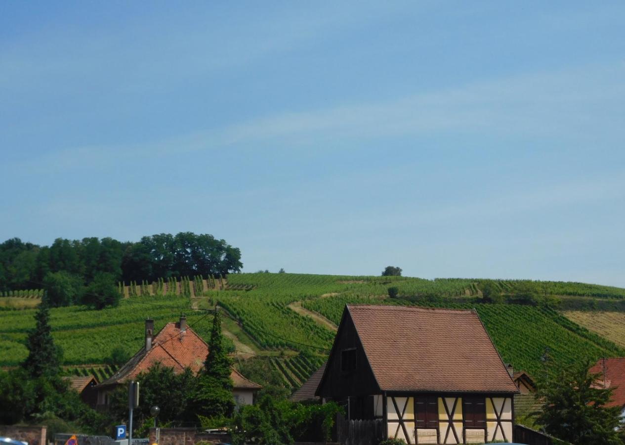 Gewurztraminer - Studio Au Pied Du Vignoble - Renove Recemment - Parking Gratuit Riquewihr Dış mekan fotoğraf