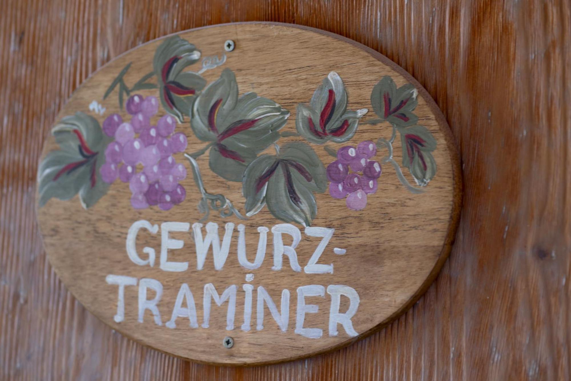 Gewurztraminer - Studio Au Pied Du Vignoble - Renove Recemment - Parking Gratuit Riquewihr Dış mekan fotoğraf