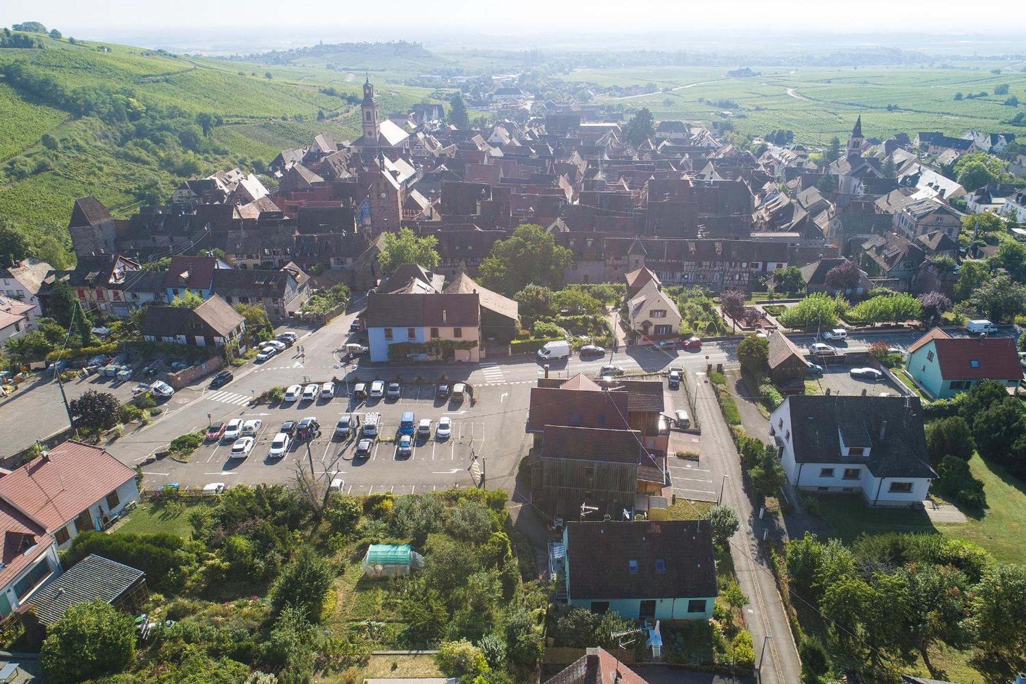 Gewurztraminer - Studio Au Pied Du Vignoble - Renove Recemment - Parking Gratuit Riquewihr Dış mekan fotoğraf
